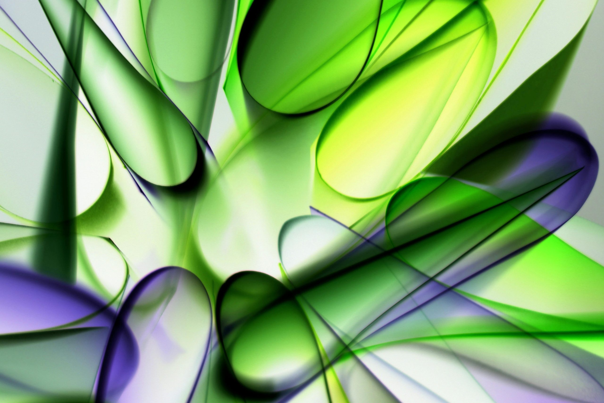 Bold Colors