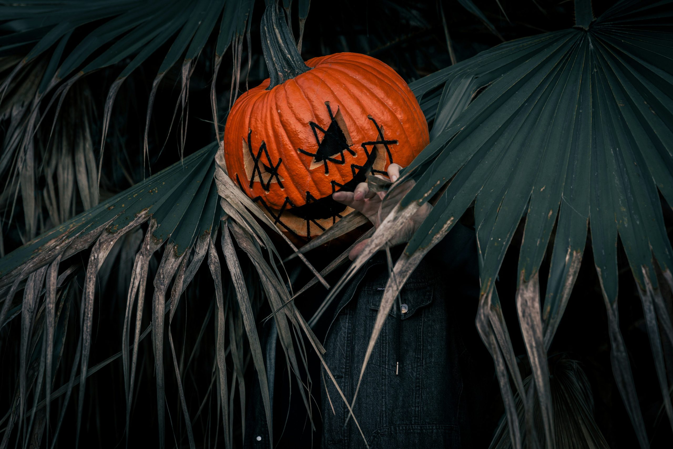 Halloween Spotlights Makeup: Creepy, Creative, and Camera-Ready Looks to Steal the Show
