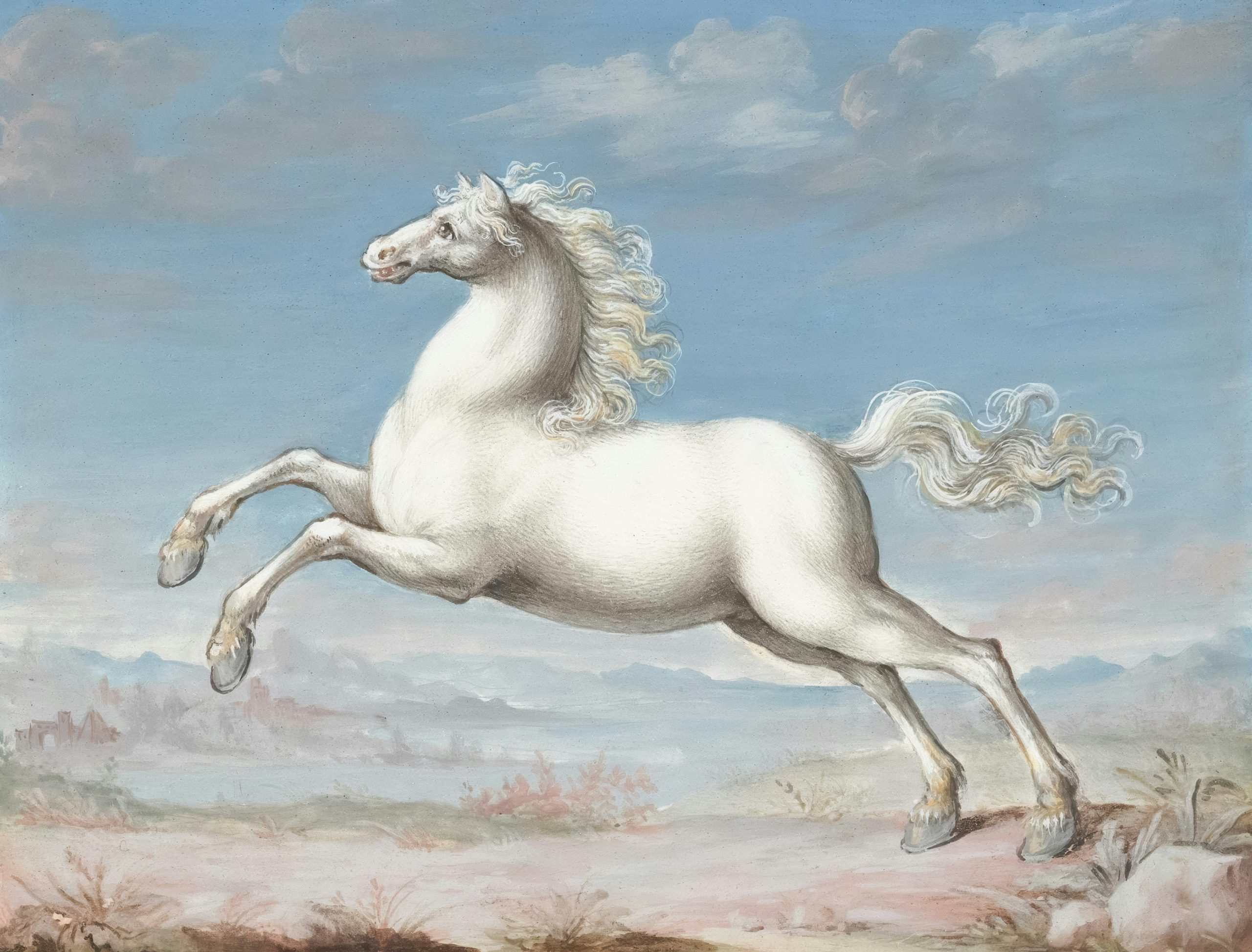 Title: Wit paard Publisher: Rijksmuseum Date: 1552 - 1601 Providing institution: Rijksmuseum Aggregator: Rijksmuseum Providing Country: Netherlands Public Domain Wit paard - Rijksmuseum, Netherlands - Public Domain.